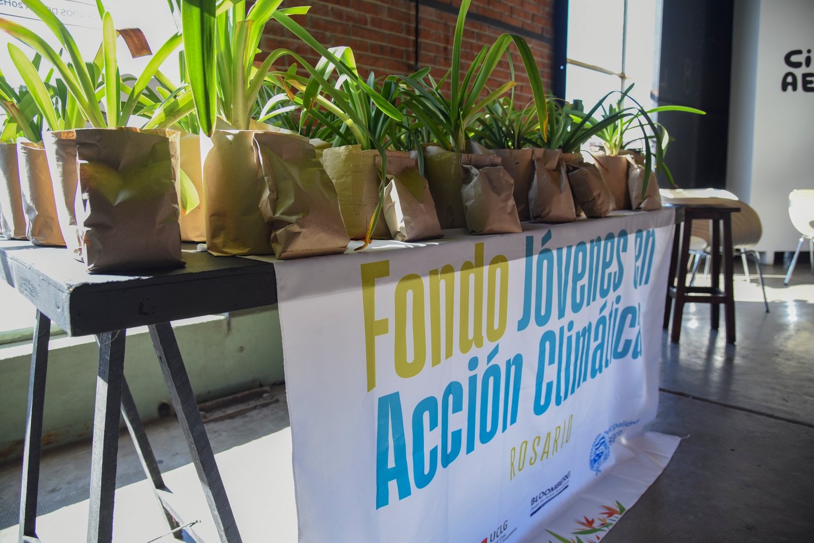 Jóvenes en Acción Climática